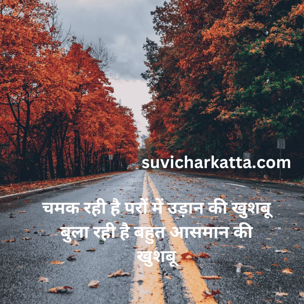 sad shayari